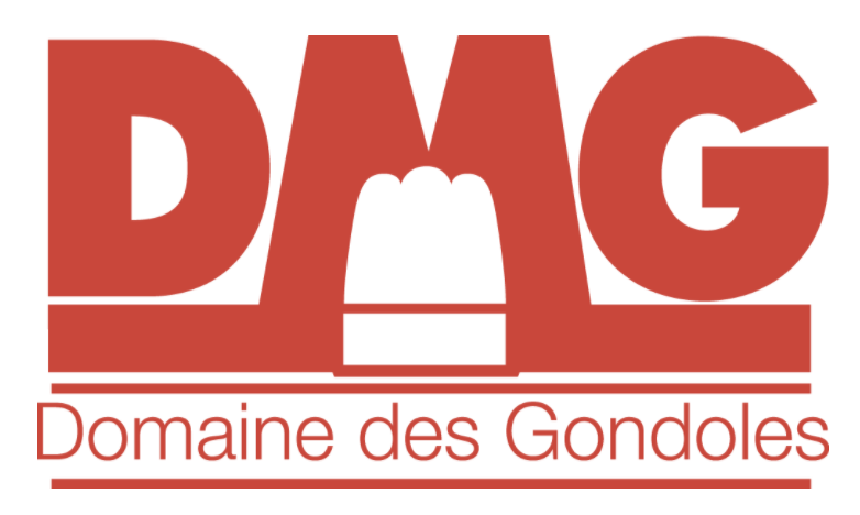 DMG FRANCE